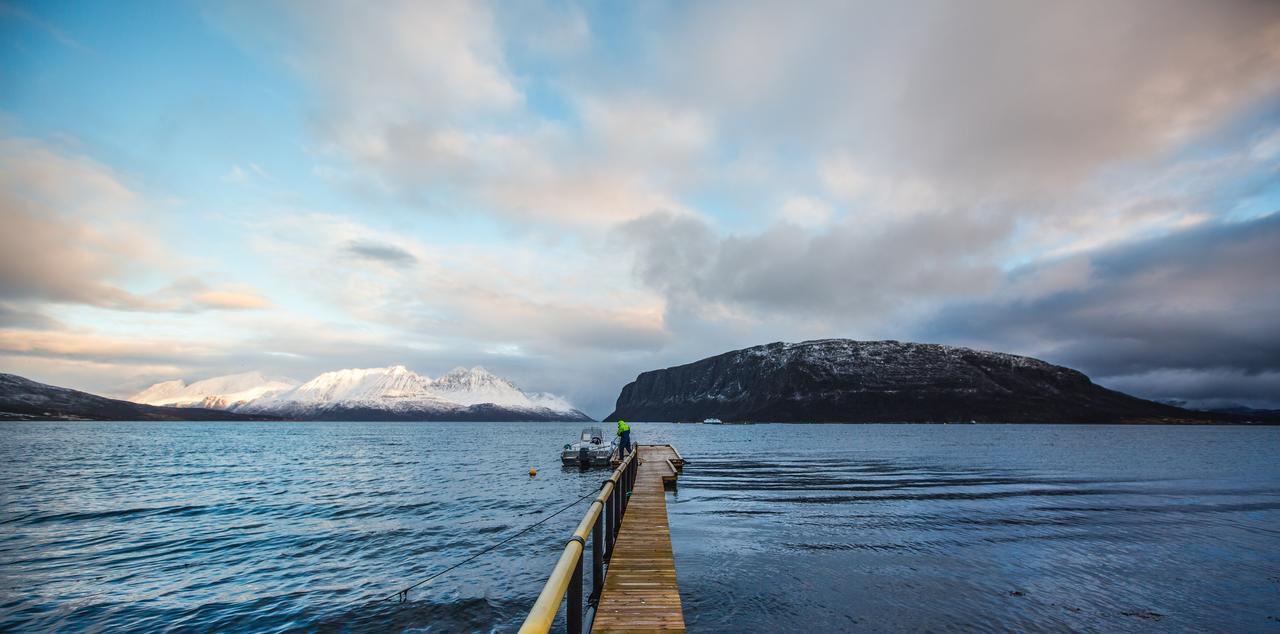 Lodge Arctic Panorama *
