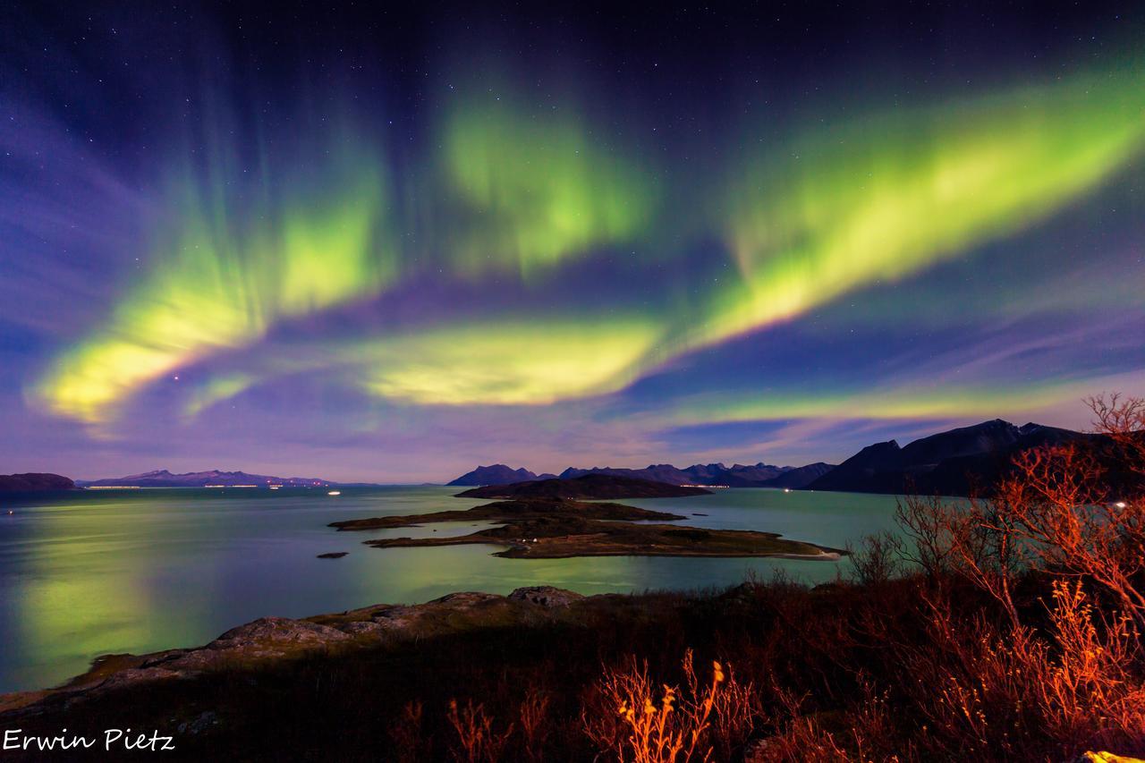 Lodge Arctic Panorama